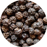 Organic Black Kampot Pepper from Starling Farm