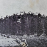 history_starling-farm_pepper-plantation-in-kampot-1930s