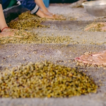 processing-pepper_starling-farm_organic-plantation-kampot-15