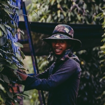 processing-pepper_starling-farm_organic-plantation-kampot-3