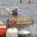 regional-shot_starling-farm_organic-kampot-pepper-10