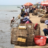 regional-shot_starling-farm_organic-kampot-pepper-13