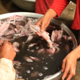 regional-shot_starling-farm_organic-kampot-pepper-2